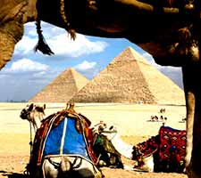 Tour con camello en Giza