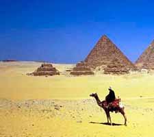 Tour con camello en Giza 