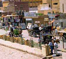 Paseo con Calesa por Luxor