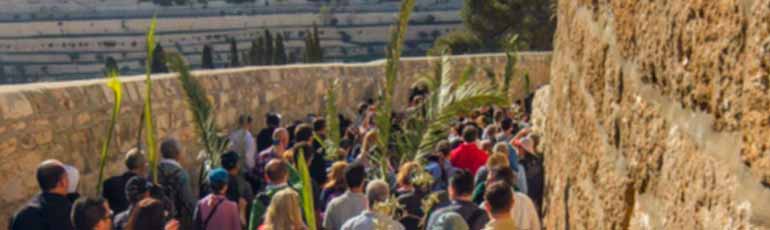 Oferta Semana Santa en Israel