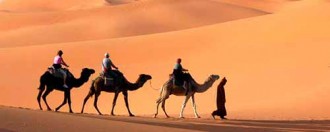 Tour a caballo o camello por las pirámides de Egipto